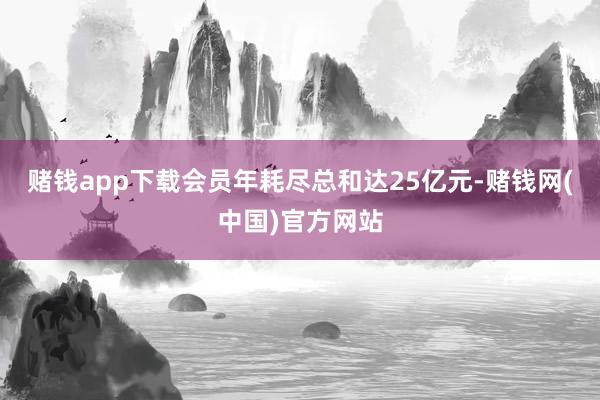 赌钱app下载会员年耗尽总和达25亿元-赌钱网(中国)官方网站