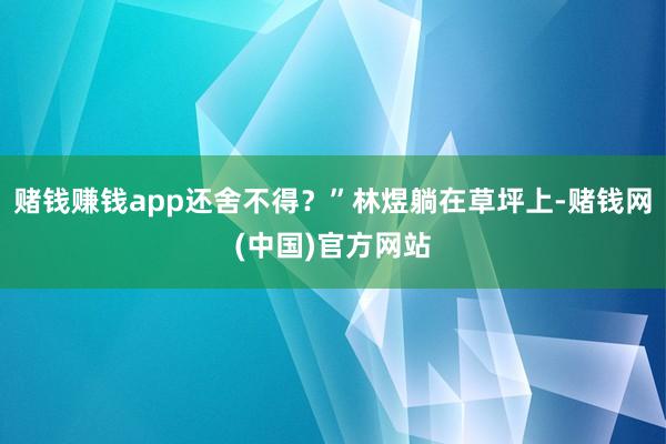 赌钱赚钱app还舍不得？”林煜躺在草坪上-赌钱网(中国)官方网站