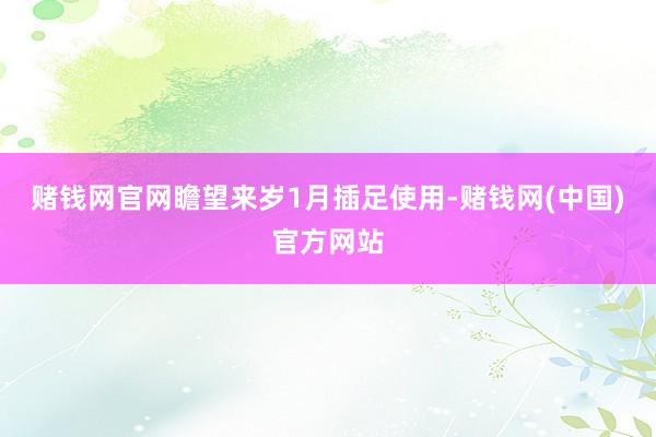 赌钱网官网瞻望来岁1月插足使用-赌钱网(中国)官方网站