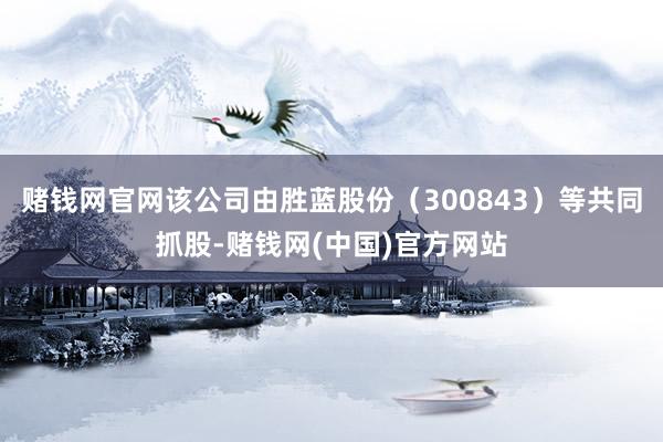 赌钱网官网该公司由胜蓝股份（300843）等共同抓股-赌钱网(中国)官方网站